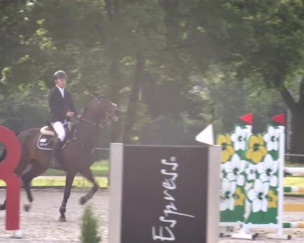 Reitturnier Rot am See Musdorf 2024
