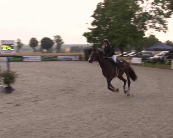 Reitturnier Rot am See Musdorf 2024