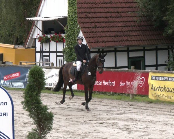 Reitturnier Vlotho-Exter 2024