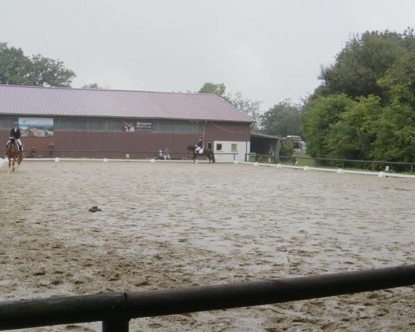 Reitturnier Marienheide-Kempershöhe 2024