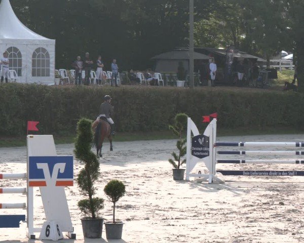 Reitturnier Vlotho-Exter 2024