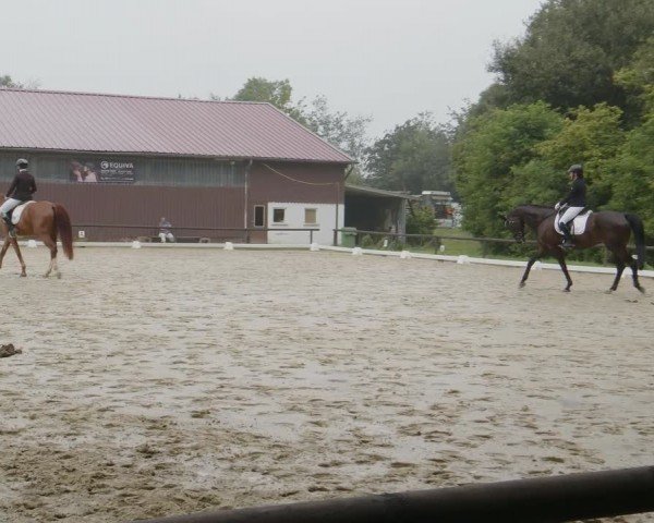 Reitturnier Marienheide-Kempershöhe 2024