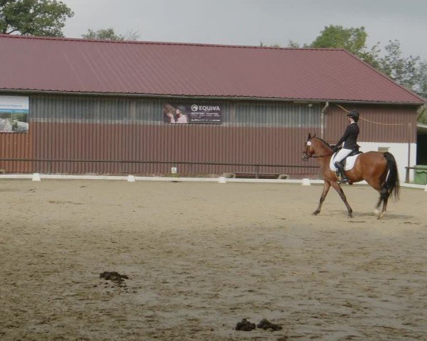 Reitturnier Marienheide-Kempershöhe 2024