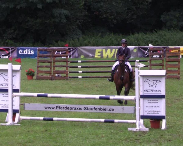 Reitturnier Gorgast 2024