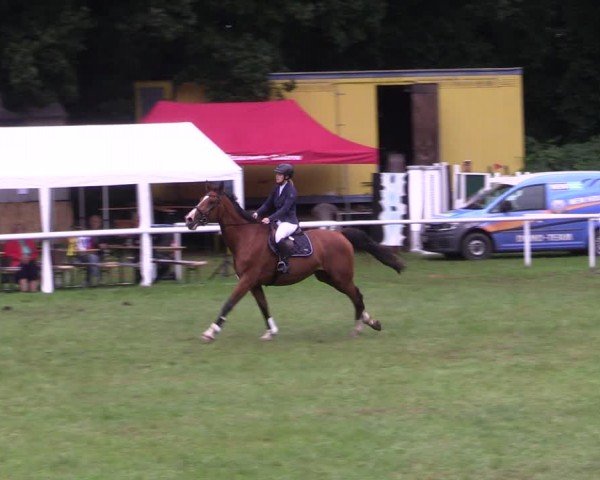 Reitturnier Gorgast 2024