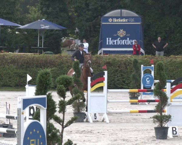 Reitturnier Vlotho-Exter 2024