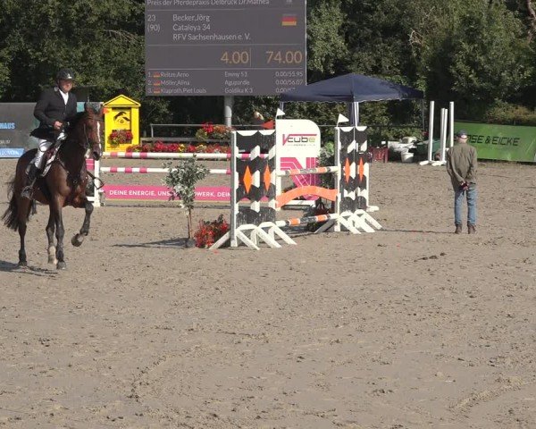 Reitturnier Bad Wildungen 2024