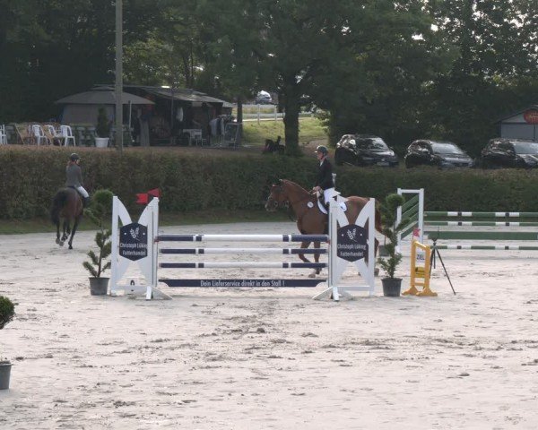 Reitturnier Vlotho-Exter 2024