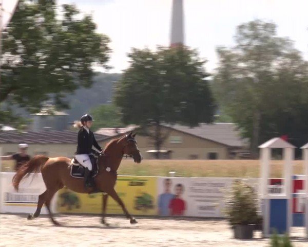 Reitturnier Rot am See Musdorf 2024