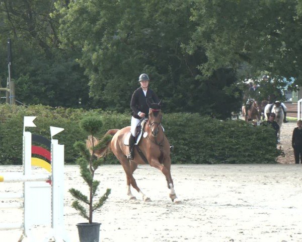 Reitturnier Vlotho-Exter 2024