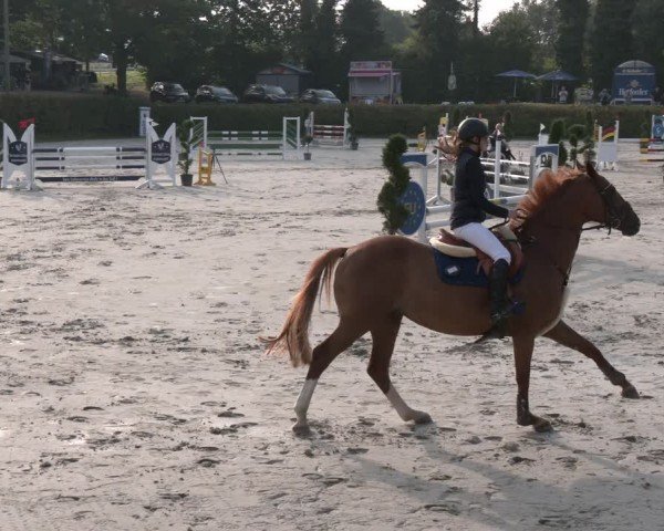 Reitturnier Vlotho-Exter 2024