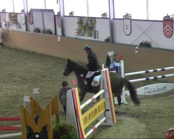 Ravensberger Pferdetage 2013