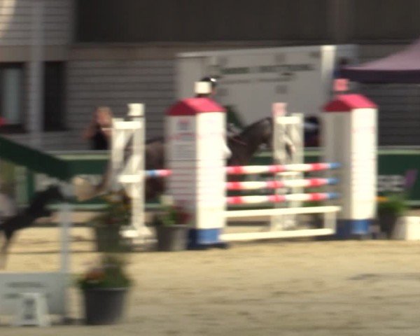 Reitturnier Olfen-Vinnum 2024