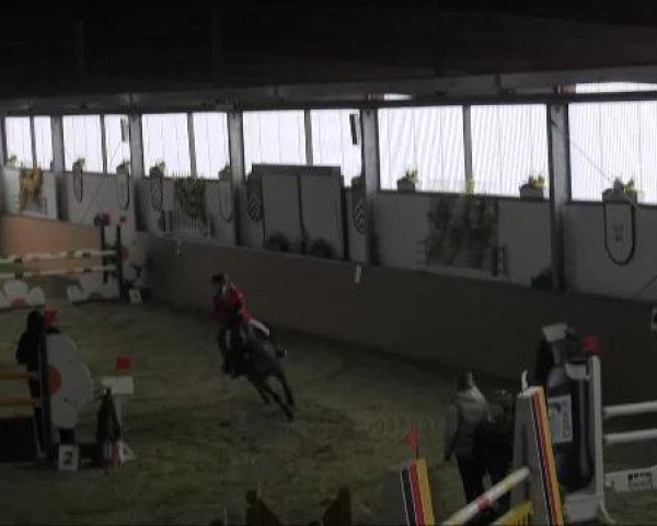 Ravensberger Pferdetage 2013