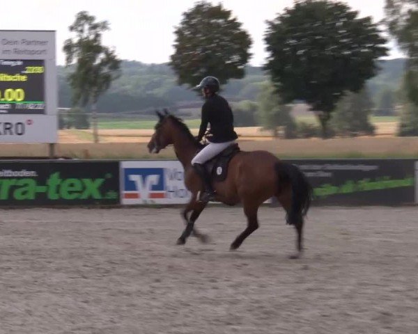 Reitturnier Rot am See Musdorf 2024