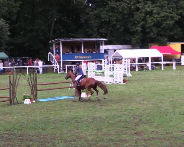 Reitturnier Gorgast 2024