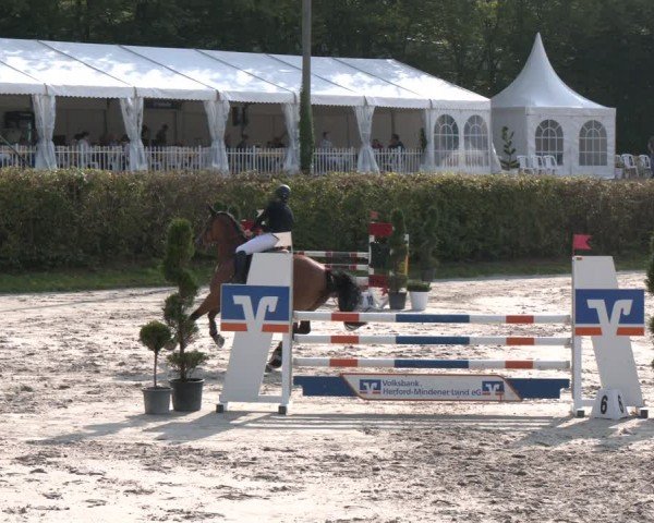 Reitturnier Vlotho-Exter 2024