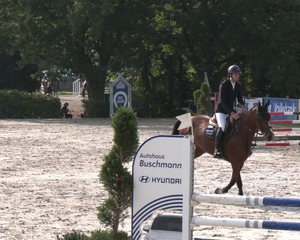Reitturnier Vlotho-Exter 2024