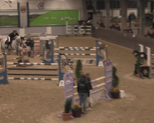 Reitturnier Legden 2021