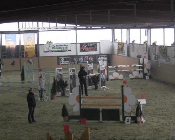 Ravensberger Pferdetage 2013