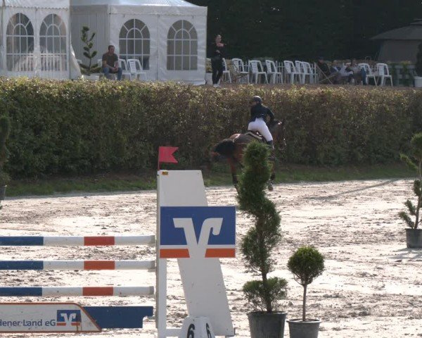 Reitturnier Vlotho-Exter 2024