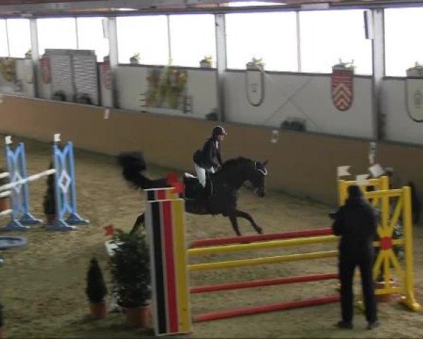 Ravensberger Pferdetage 2013