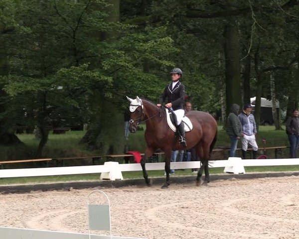 Reitturnier Gallinchen 2024