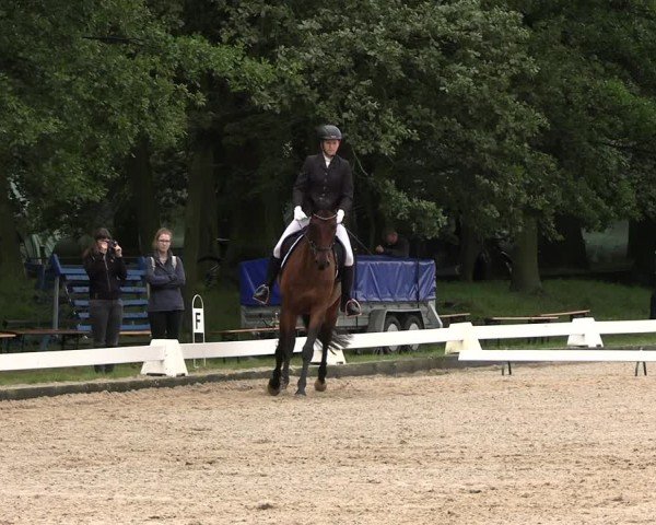Reitturnier Gallinchen 2024