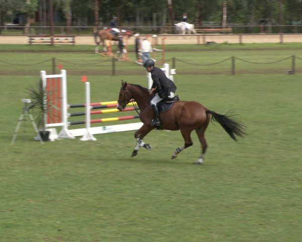 Reitturnier Gallinchen 2024