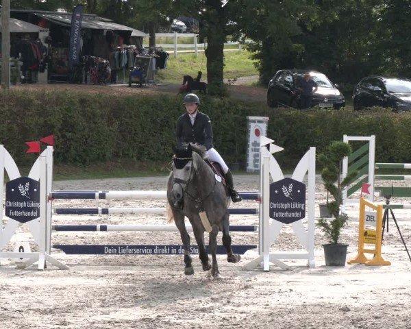 Reitturnier Vlotho-Exter 2024
