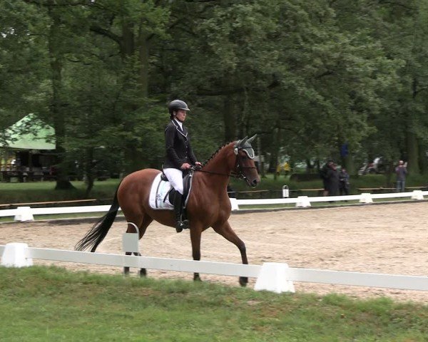 Reitturnier Gallinchen 2024