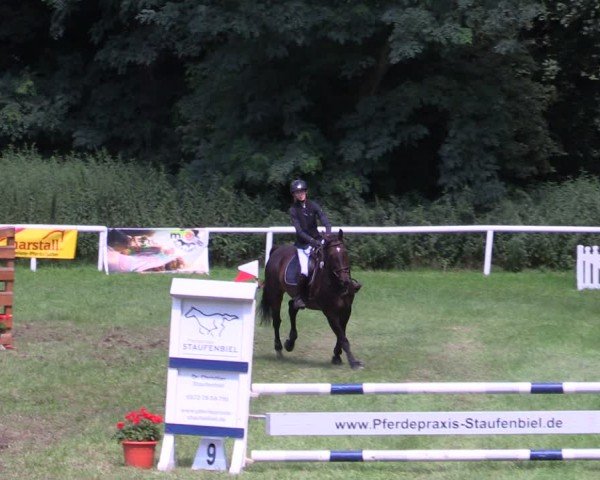 Reitturnier Gorgast 2024