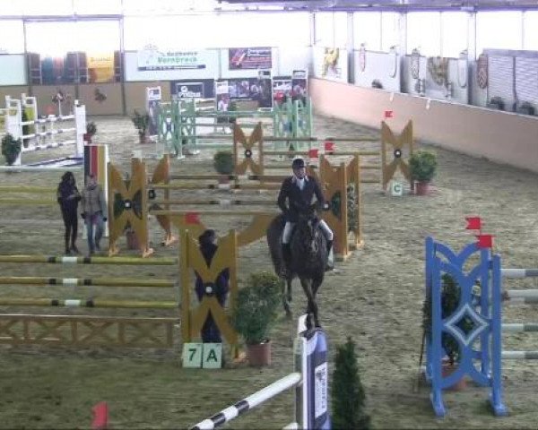 Ravensberger Pferdetage 2013