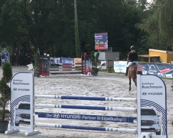 Reitturnier Vlotho-Exter 2024