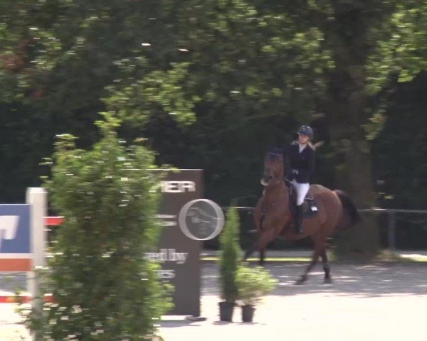 Reitturnier Rot am See Musdorf 2024