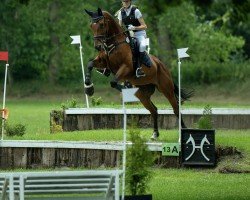 jumper Lorano S (KWPN (Royal Dutch Sporthorse), 2016, from Grodino)