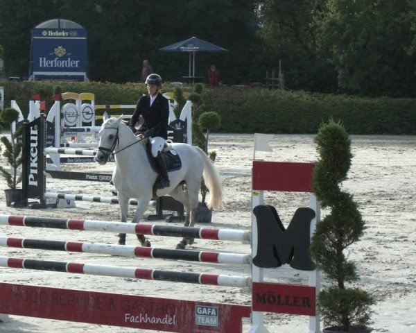 Reitturnier Vlotho-Exter 2024