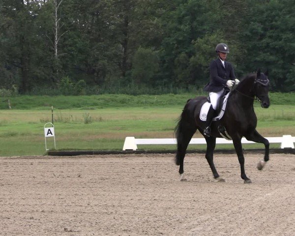Reitturnier Gallinchen 2024