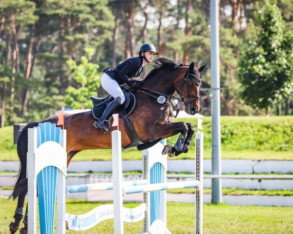 broodmare Diabelle S (German Sport Horse, 2015, from Diego de Semilly)