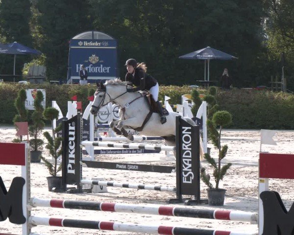 Reitturnier Vlotho-Exter 2024
