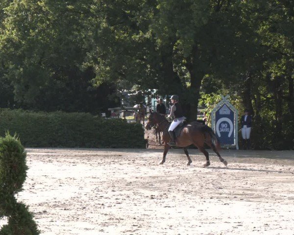 Reitturnier Vlotho-Exter 2024