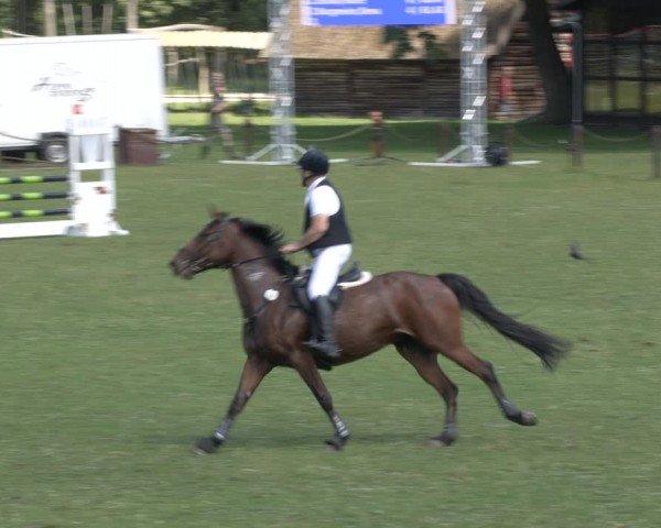 Reitturnier Gallinchen 2024
