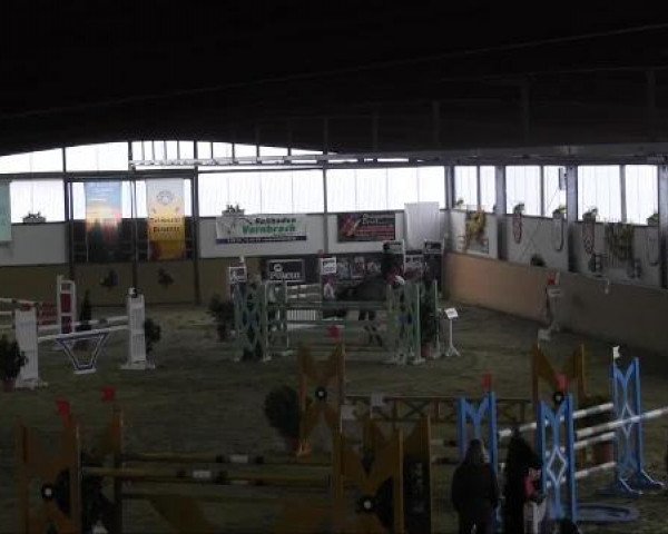 Reitturnier Borgholzhausen-Westbarthausen 2013