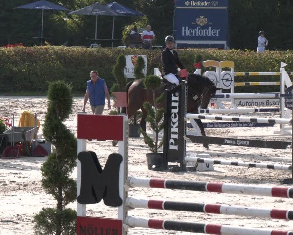 Reitturnier Vlotho-Exter 2024