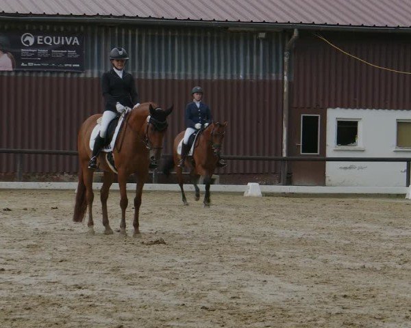 Reitturnier Marienheide-Kempershöhe 2024
