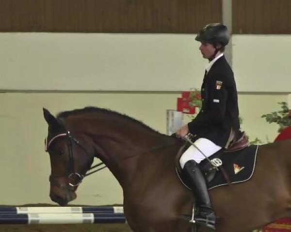 Reitturnier Zoltingen 2013