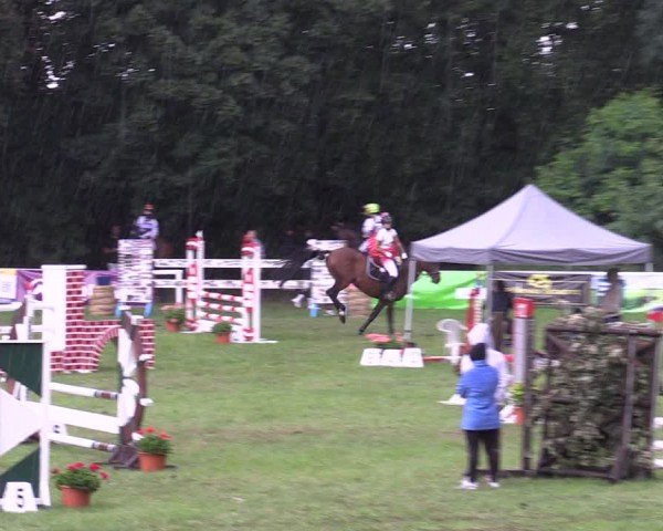 Reitturnier Gorgast 2024