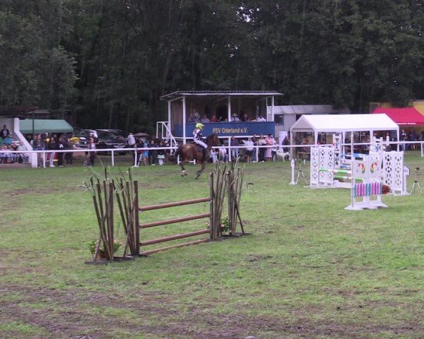 Reitturnier Gorgast 2024