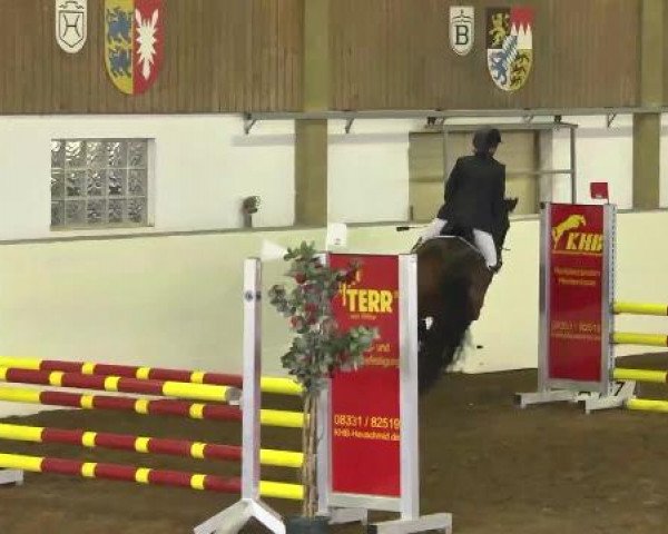 Reitturnier Zoltingen 2013