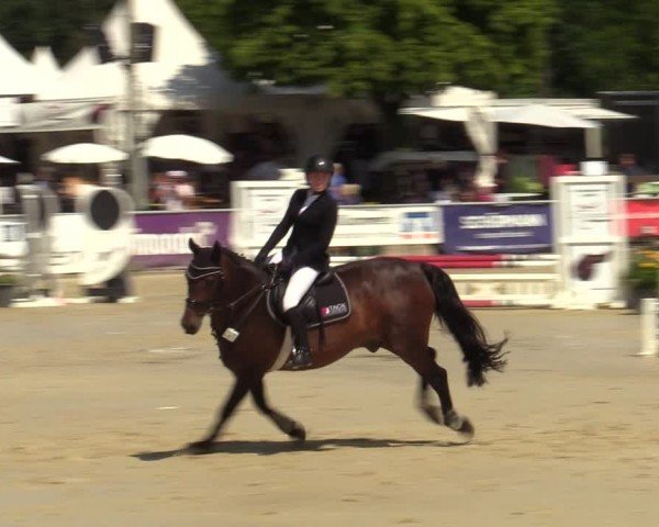 Reitturnier Olfen-Vinnum 2024